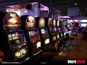 basquetepg - Plataforma de Cassino Online